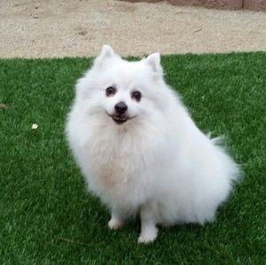 Meet your Posher, Terri